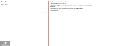 IBF301_-_SP_2025_-_Block_5_-_2_3881.webp