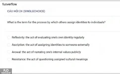 MCO201_-_QUIZ_-_SU_2025_3943.webp