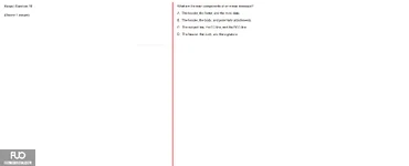 FRS301_SU25_Final_Exam_4150.webp