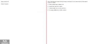 Q10.webp