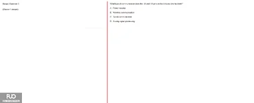 Q5.webp