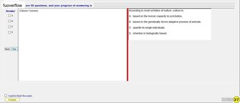 IBC201_-_FE_-_SU_2023_384.webp