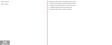 Q28.webp