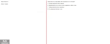 Q4.webp