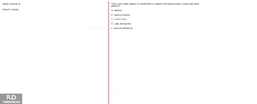 Q42.webp