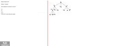 Q40.webp