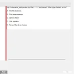 SP24_FE (2).webp