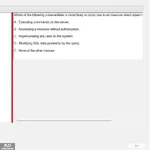 SP24_FE (11).webp