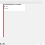 SP24_FE (13).webp