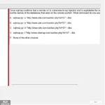 SP24_FE (20).webp