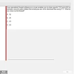 SP24_FE (25).webp
