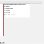 SP24_FE (31).webp