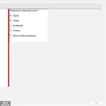 SP24_FE (37).webp