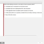 SP24_FE (45).webp