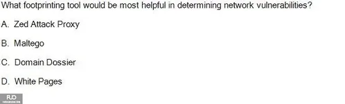 SP25_RE (4).webp