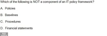 SP25_FE (32).webp