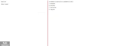 Q48.webp