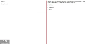 Q8.webp