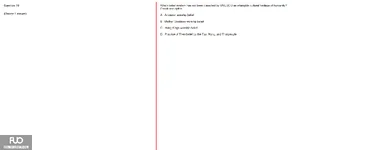 Q19.webp
