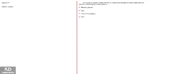 Q11.webp
