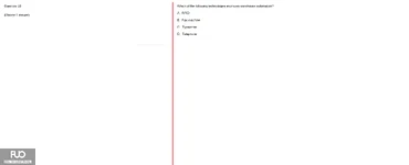 Q28.webp