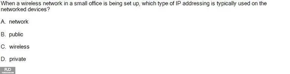 NWC303_SP25_RE (41).webp