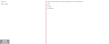 Q24.webp