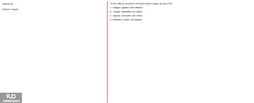 Q40.webp
