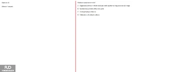 Q45.webp