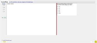 VNC104_-_FE_-_SU_2023_411.webp