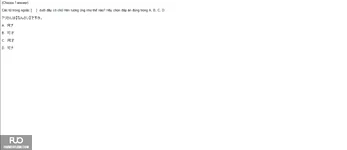 3.webp