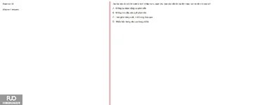 Q39.webp