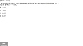 17.webp