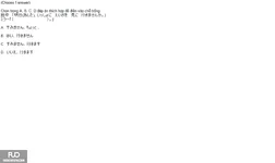 30.webp