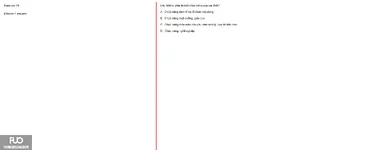 Q19.webp
