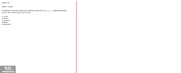 Q10.webp