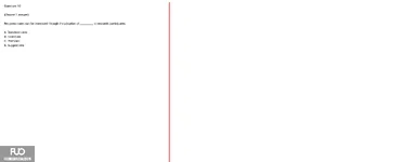 Q10.webp