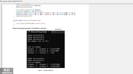 5.webp