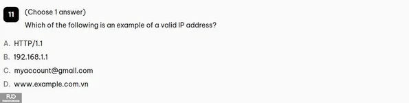 11.webp