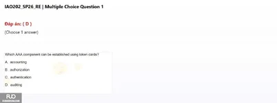 IAO202_SP26_RE (1).webp