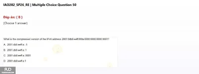 IAO202_SP26_RE (2).webp