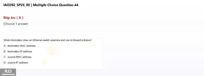 IAO202_SP26_RE (10).webp