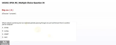 IAO202_SP26_RE (16).webp