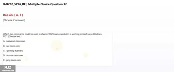 IAO202_SP26_RE (17).webp