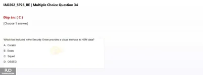 IAO202_SP26_RE (19).webp