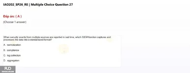IAO202_SP26_RE (24).webp