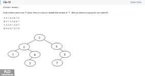 CSD201_SP26_FE (30).webp