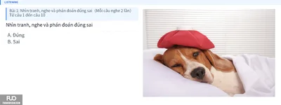 Q5.webp