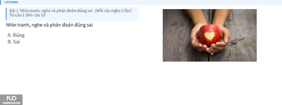 Q8.webp