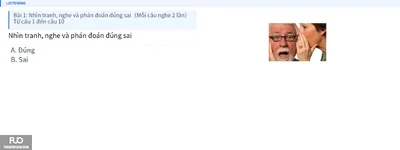 Q10.webp